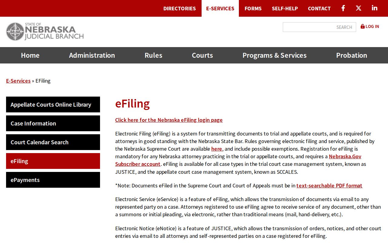 Johnson County case lookup Nebraska eFiling service information